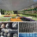 Plastic Shading Net Roll 2x50m For Greenhouse Field Anti Dust Coving Net
