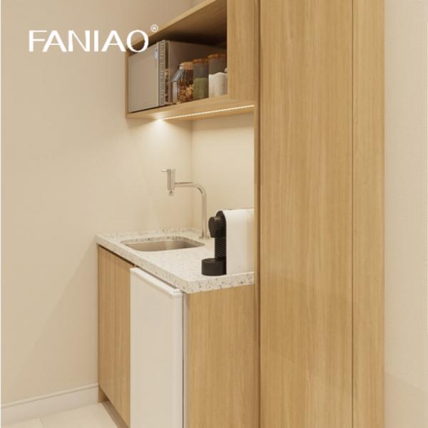 Simple Functional Kitchen Cabinet Mini Kitchenette for Apartment Project