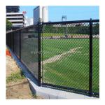 Hot Dipped Galvanized PVC Coated Diamond Chainlink Fence for Pressure Treated
