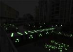 Luminous Conch Sea Shells For Fish Tank Decoration