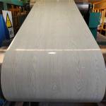 Color Coated Galvanized Steel Coils 1250mm Metal PPGI PPGL Corrosion Resistance