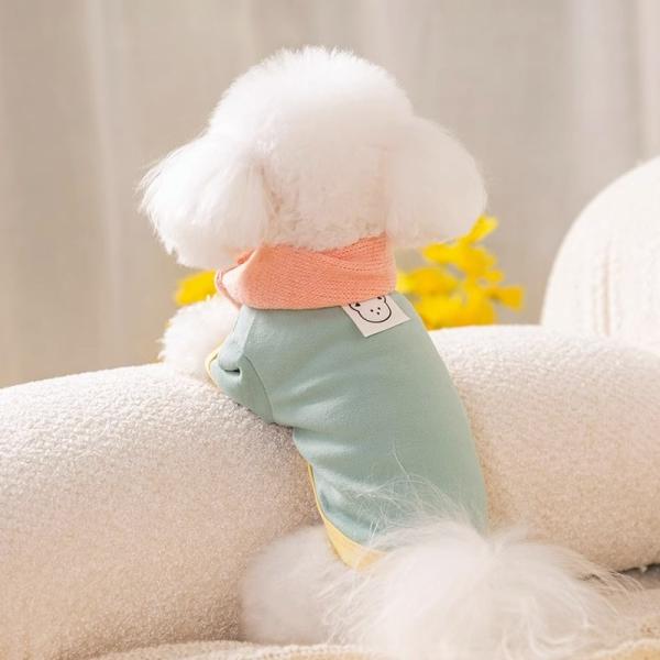 Pressure Relief Dog Wear Clothes Waterproof Breathable Dog T Shirt Custom Made