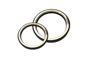 Wholesale SS Backside 1&quot; 2&quot; 3&quot; 90 Shore A HNBR Plug Valve Seals from china suppliers