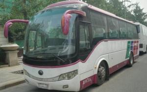 Wholesale 39 Seats 2010 Year Used Yutong Buses Airbag TV New Tyres Second Hand Tour Coach from china suppliers