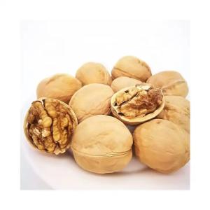 Wholesale Raw Walnut Wholesale Top Class Walnut Kernels Dried Style Walnut. from china suppliers