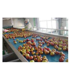 Wholesale Fully Automatic Vegetable Complete Juice Processing Unit Stainless Steel from china suppliers