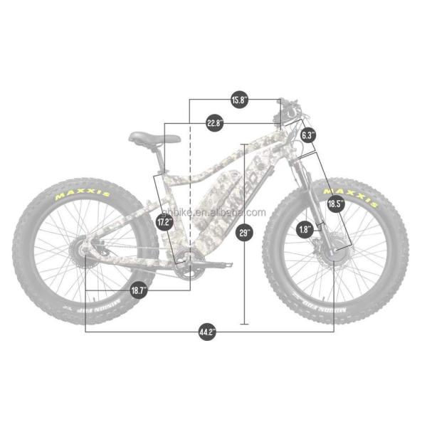 Central Motor 26" 4.0 Fat Tire Adult Electric Bike with Dual Battery 48V1000W X2WD CE