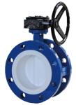 Lightweight Flange Butterfly Valve With Disc And Seated Reliable Sealing