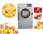 Automatic Protectio Home Food Freezer Machine Mini Household