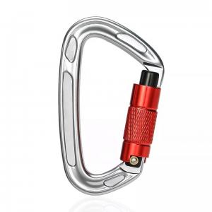 Wholesale Sale Polished Aluminum Alloy Dog Leash with Precision Casting Screwgate Carabiner from china suppliers