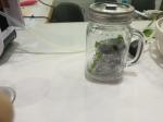 OZEN Vacuum Blender / Vidia Vacuum Blender/ Kuving vacuum blender / Vacuum