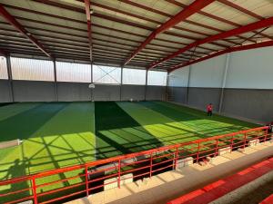 Wholesale 8-10 Years Life Span Artificial Football Pitches Project Install At Macedonia from china suppliers