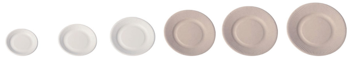 Snack Fast Food Container Biodegradable Sugarcane Bagasse Plates Dinnerware