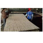 Container Flooring Eucalyptus Core Veneer WBP Phnolic Glue