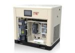 Electric Motor 72dB 1.6Mpa Screw Air Compressor