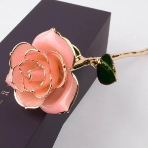 Wholesale Valentine's Day Mother's Day Gift Of Real Rose Dipped In Gold New Arrival 24K Gold Plating Roses from china suppliers