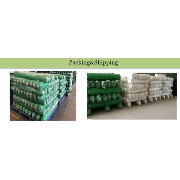 1.8m Height White Plastic Net Climbing Outdoor Plant Support