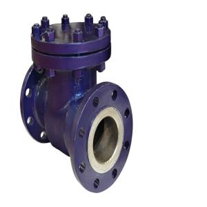 Wholesale 10 Inch DN100 PN16 PN25 PN40 CI Metal Seat High Pressure Air Check Valve for Fittings from china suppliers
