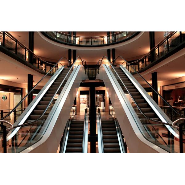 MR16 GU10 Gu5.3 Adjustable Angle Down Lighting Replaceable Indoor Ceiling Embedded Surface Mounted Recessed Light