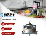 Flat Blender Brushless DC Motor