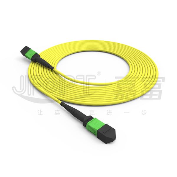 MPO Conncetor 12 Cores SM Standard Loss/Low Loss Fiber Patch Cord for Superior