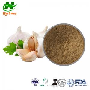 Wholesale Garlic Extract Powder 1%-2%Allicin Powder Garlicin Powder  CAS 8008-99-9 from china suppliers