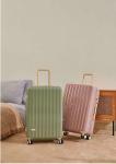 Unisex Rolling Luggage Cabin Holiday Suitcase Set Couples Travel Anti-Fall