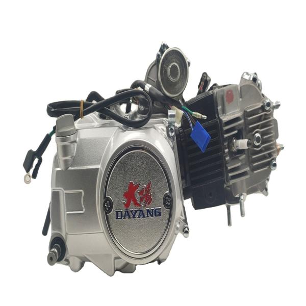 Silver DAYANG LIFAN 125CC Nature AIR-cooled Motorcycle Engine Assembly 3 Wheel