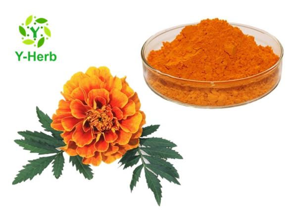 Natural Pigment Xanthophyll Marigold Flower Herbal Extract Powder