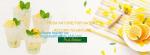 PLA Plant Based, Individual Wrap, Cocktail Drinking Straw, Eco Friendly, Corn