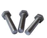 ANSI Grade 2 / 5 / 8 Hex Head Bolts And Nuts Carbon Steel