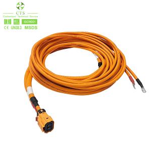 Wholesale CTS Industrial Wiring Harness for Motorcycle Auto Electric Vehicle High Voltage Power Cable from china suppliers