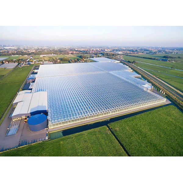 Weldless Multi Span Greenhouse Galvanized Frame For Bountiful Flower