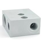 RoHS Certified Stainless Steel Valve Blocks for Customized Metal Processing
