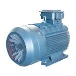 YE3 2 Pole Three Phase Motor 45Kw 50Hz 380V Electric Motor High Efficiency