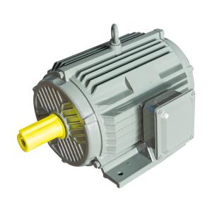 Wholesale IP55 High Efficiency Electric Motor Rigidity Ye5 Ie5 Electric Induction Motor from china suppliers