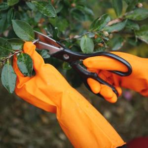 Wholesale Excellent Grip Durable Garden Gloves Tear Resistant Kitchen Rubber Gloves from china suppliers