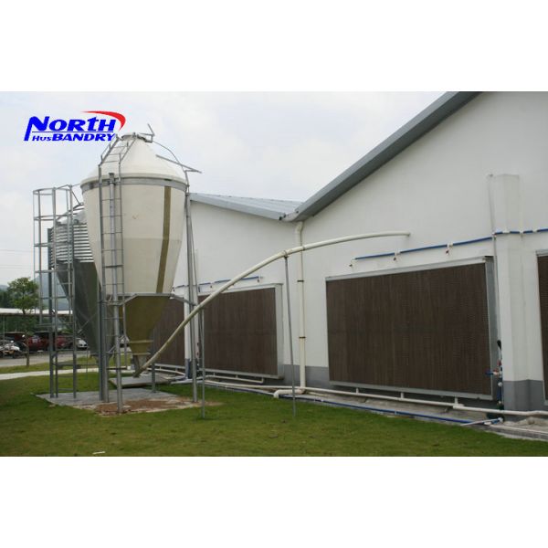 Pig feeding system five holes stainless steel double side automatic pig feeder