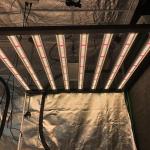 800W 8Bars Horticulture LED Grow Light Osram 660nm For Indoor Hydroponics Garden