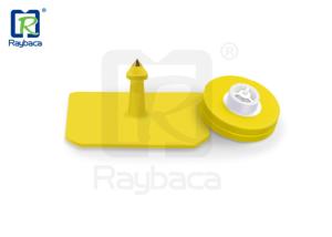 Wholesale Yellow Color RFID Livestock Tags EID Swine / Pig Female Tags Square Shape OEM ODM from china suppliers