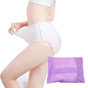 Wholesale Private Label Lady Menstrual Panties Mid-Waist Period Panties for Overnight Sleeping from china suppliers