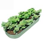4.9*2*0.66 Ft Raised Garden Bed Kit Galvanized Raised Garden Box Outdoor Metal