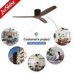 220V 60w Home Decoration Ceiling Fan With Remote Control AC Motor