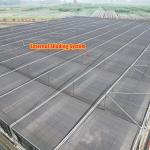 Thermostat Waterproof Plant Growing Hydroponics System Tunnel Large Greenhouses