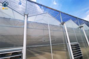 Wholesale Large Agricultural Tunnel PC Greenhouse Polycarbonate Vegetable Growing Greenhouse from china suppliers