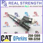 250-1309 2501309 Perkins Diesel Injector 10R-3258 10R3258 C13 CAT Fuel Injector