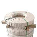 A276 Precision Stainless Steel Strip