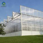 Skeleton 12m Flower Polycarbonate Greenhouse Heat Resistance