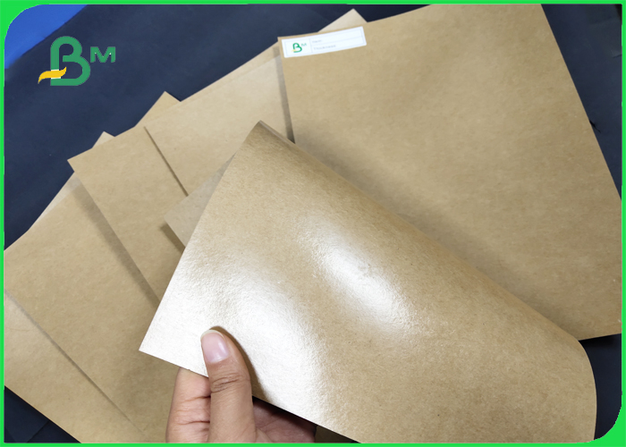 Offset Printing PE Coated Paper 300 + 15g FDA Disposable 750 / 800 / 900mm