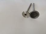 3998AC Diesel Engine Valve For FIAT